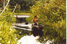 Boys in canoe