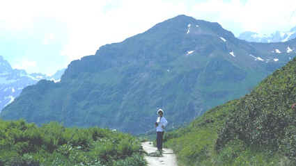 Trail in Austrian Alps