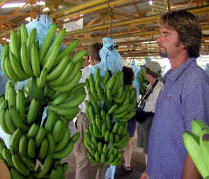 Banana processing and Victor
