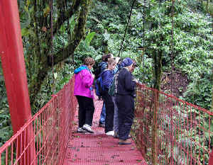 Suspension bridge at Monteverde Cloud Forest