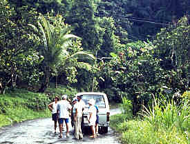 Grenada rainforest
