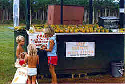 Kauai fruit stand