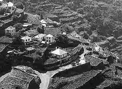 Madeira field and house