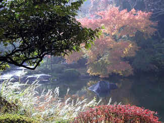 Naritasan Park autumn