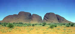 Kata Tjuta (Olgas)