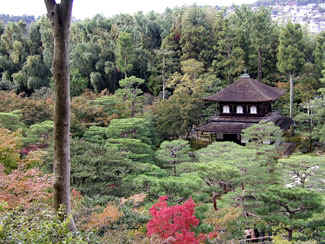 Temple amid trees in Kyoto